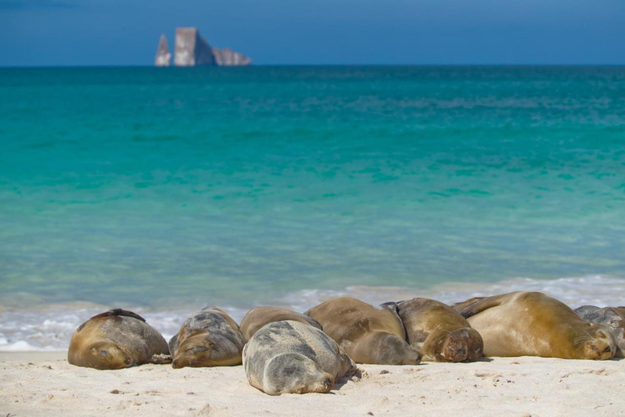Suite Cielo, Discover The Magic Of Galapagos Puerto Baquerizo Moreno Zewnętrze zdjęcie
